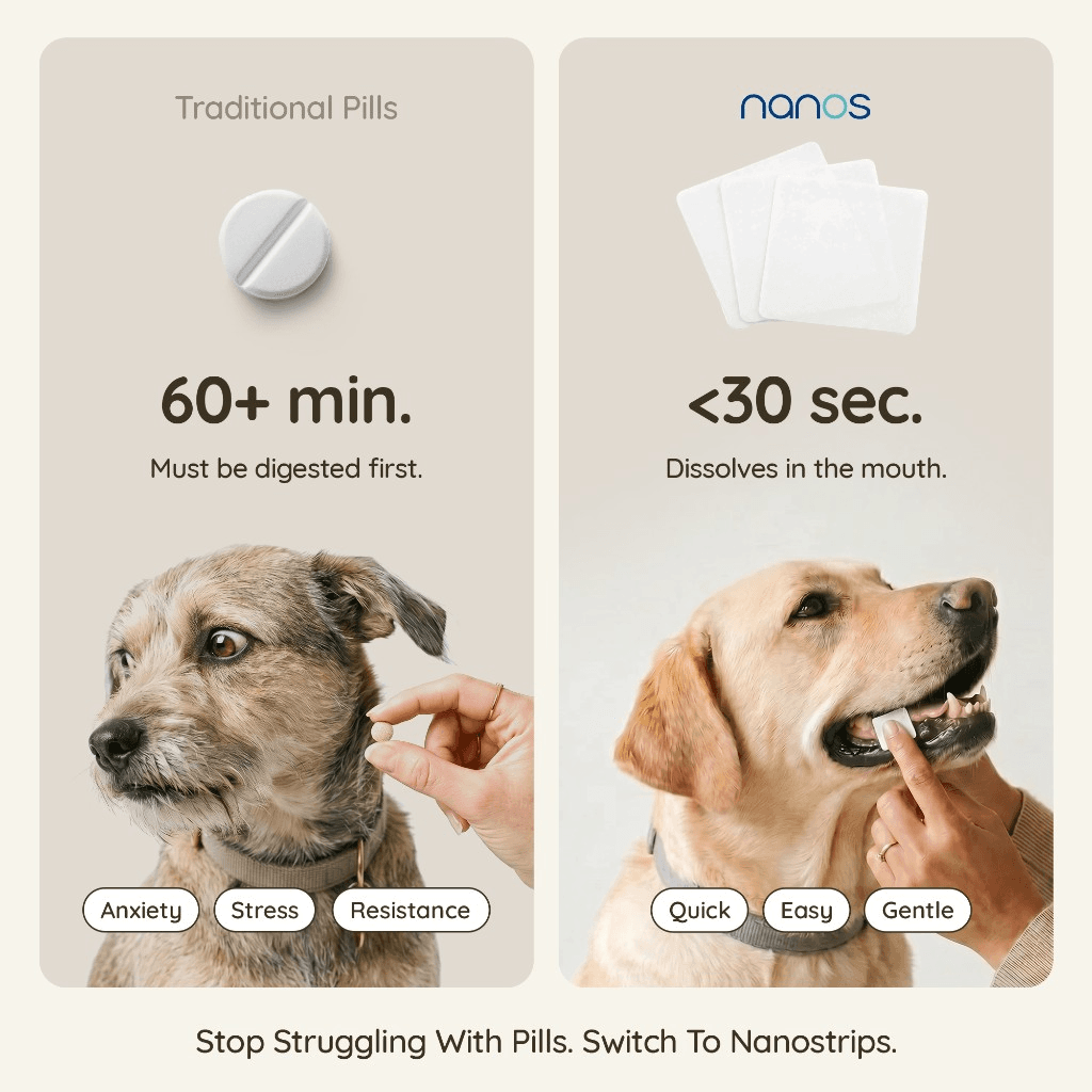 Traditional pills take over an hour to digest; Nanos strips dissolve in the mouth in under 30 seconds